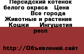 Персидский котенок белого окраса › Цена ­ 35 000 - Все города Животные и растения » Кошки   . Ингушетия респ.